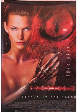Species 2 - englisch Motiv B gerollt