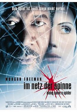 Im Netz der Spinne
