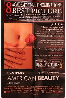 American Beauty - englisch Motiv B gefaltet