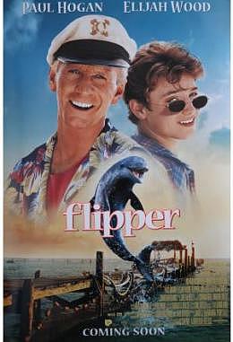 Flipper - Motiv B