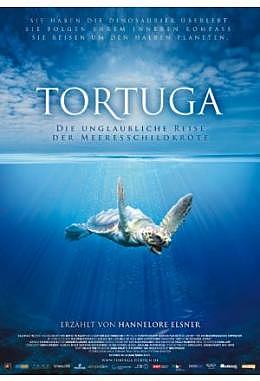 Tortuga - Die unglaubliche Reise der Meeresschildkröte