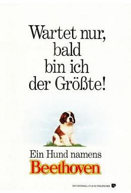 Ein Hund namens Beethoven - A1 Motiv A