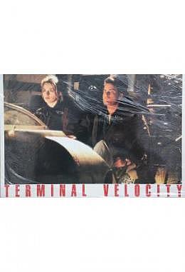 Terminal Velocity - Aushangfotos