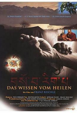 Wissen vom Heilen, Das 