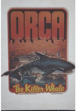 Orca, der Killerwal - Bügelbild