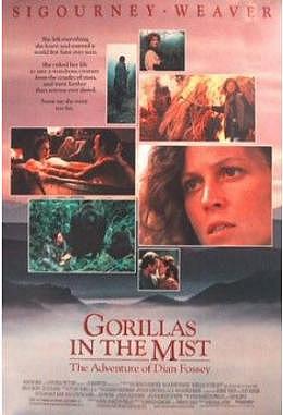 Gorillas in the Mist - Motiv A gefaltet