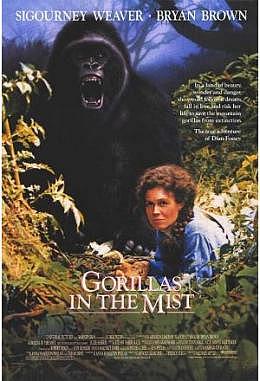 Gorillas in the Mist - Motiv B gefaltet