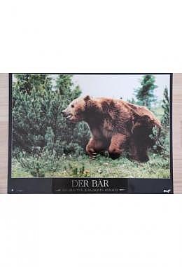 Bär, Der - Aushangfoto A
