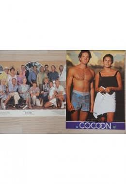 Cocoon - Aushangfotos