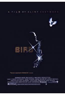 Bird - gefaltet