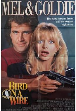 Bird on a Wire - Motiv B