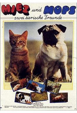 Miez und Mops - Zwei tierische Freunde