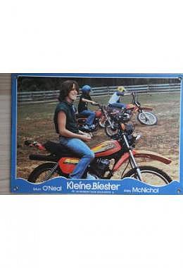 Kleine Biester - Aushangfoto