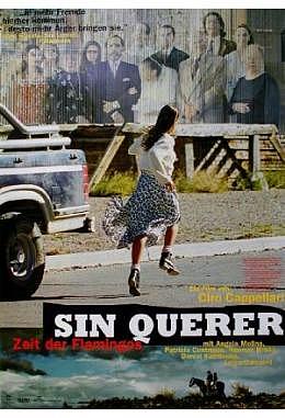 Sin querer 