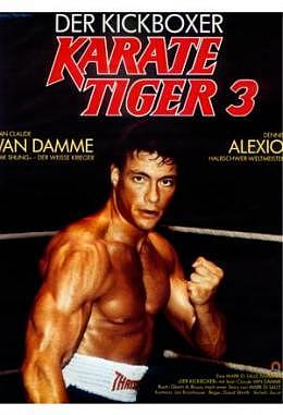 Karate Tiger 3 - Der Kickboxer