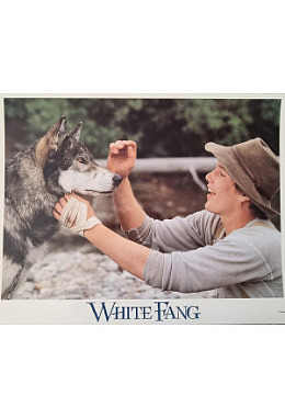 White Fang - Aushangfotos