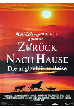 Zurück nach Hause - Die unglaubliche Reise - A1 Motiv B