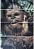 Bild 3 von 3
